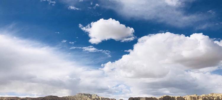 札达金诚宾馆图片