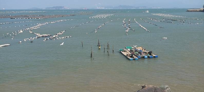 南澳青澳有间民宿图片