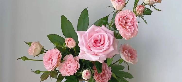 青舟公寓万象城店(安园东路分店)图片