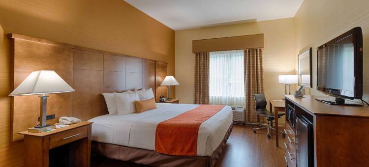 三角洲贝斯特韦斯特优质套房酒店(Best Western Plus Delta Inn  Suites)图片