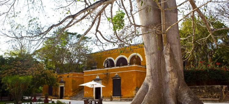 乌亚蒙庄园(HACIENDA UAYAMON)图片