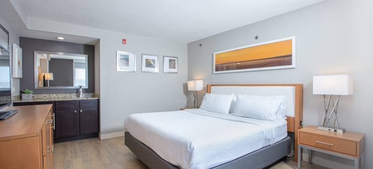 圣路易斯西南假日酒店 - 66号公路(Holiday Inn St Louis SW - Route 66)图片