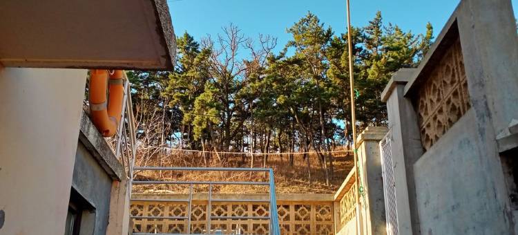 卷发的蟹公寓(大南线分店)图片