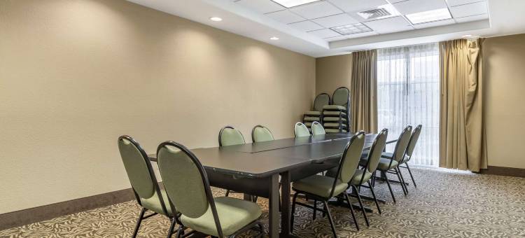 舒适套房酒店-医学中心近六旗(Comfort Suites Medical Center Near Six Flags)图片