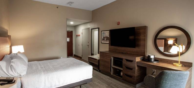 希尔顿欢朋酒店-斯普林菲尔德(Hampton Inn Springfield)图片