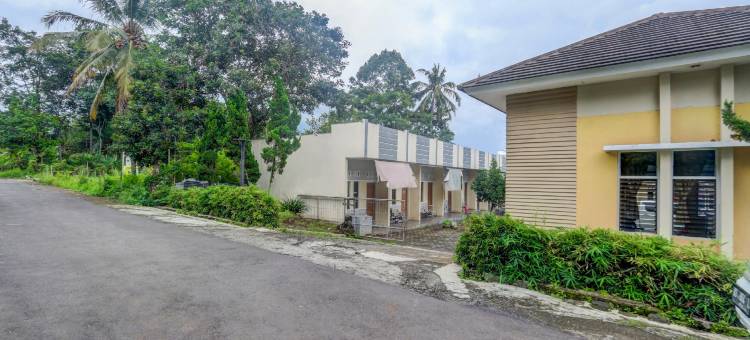 OYO Life 90159 普里阿索卡宾馆(OYO Life 90159 Puri Asoka Guest House)图片