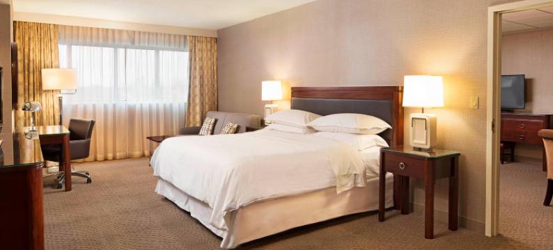 喜来登苏福尔斯酒店及会议中心(Sheraton Sioux Falls & Convention Center)图片