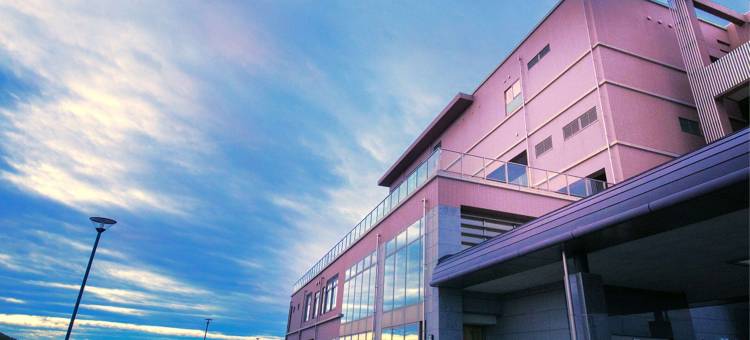 鸟之海日式旅馆(Torinoumi)图片