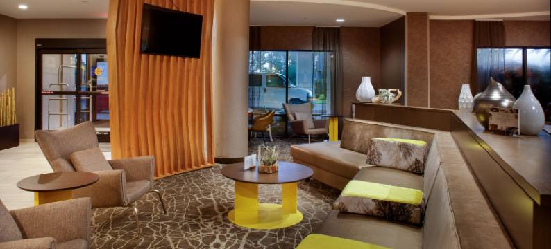 萨凡纳机场万豪SpringHill酒店(SpringHill Suites Savannah Airport)图片