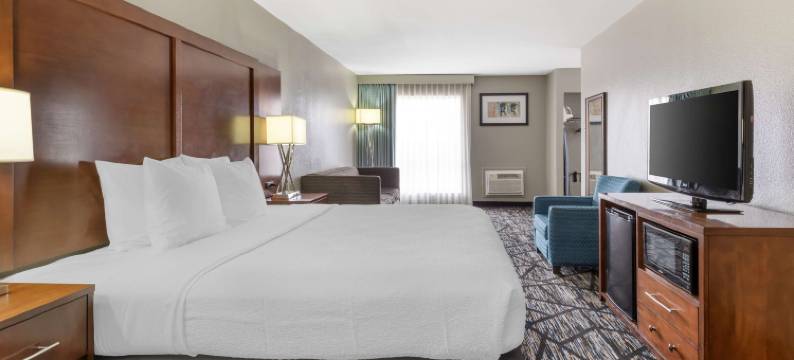 英格拉姆公园贝斯特韦斯特酒店(Best Western Ingram Park Inn)图片