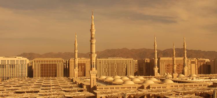 金色郁金香阿尔沙克林酒店(Golden Tulip Al Shakreen)图片