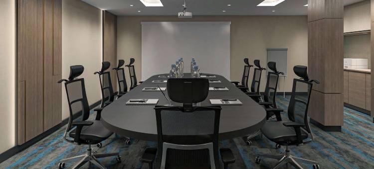 特拉布宗 Hilton 逸林套房Yomra(DoubleTree by Hilton Suites Trabzon Yomra)图片