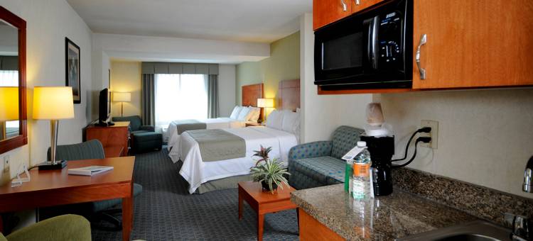 托卢卡佐纳埃洛普尔托智选假日酒店及套房(Holiday Inn Express & Suites Toluca Zona Aeropuerto)图片