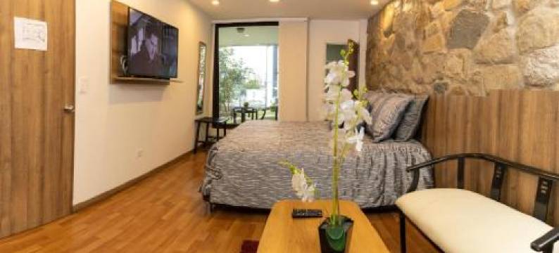 雷吉娜马尼萨莱斯酒店(Hotel Regine's Manizales by Hoteles Confort 80)图片