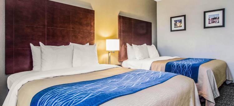 亚特兰大市区南舒适酒店(Comfort Inn Atlanta Downtown South)图片