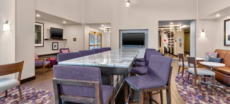 希尔顿欢朋套房酒店-弗林特大布兰克(Hampton Inn & Suites Flint/Grand Blanc)图片