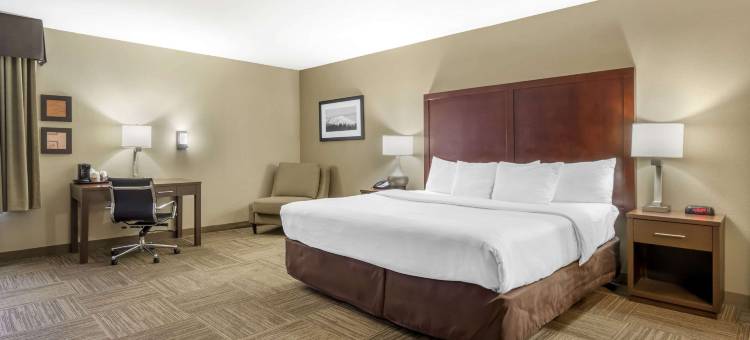 舒适酒店及套房-锡塔克机场(Comfort Inn & Suites Sea-Tac Airport)图片