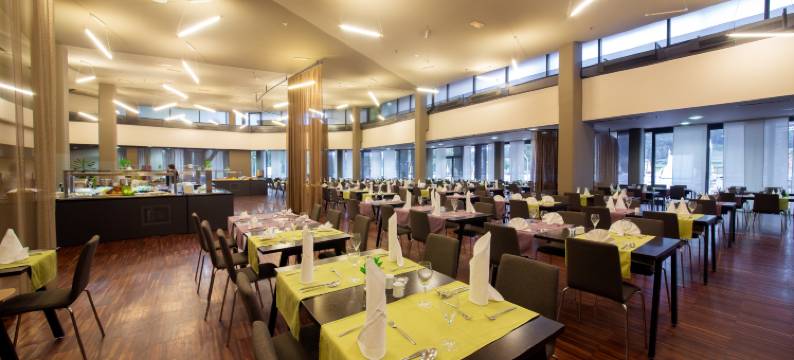 图和乐街特美好酒店(Terme Tuhelj Hotel Well)图片