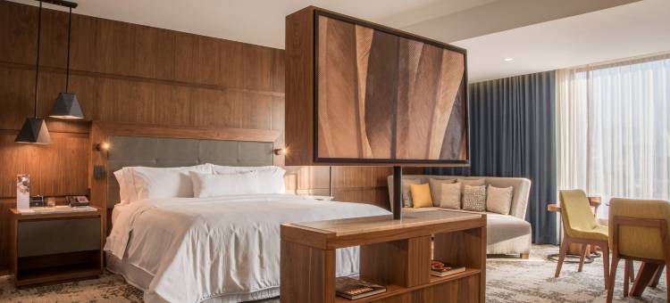 蒙特雷山谷威斯汀酒店(The Westin Monterrey Valle)图片