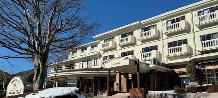 足和田酒店(Ashiwada Hotel)图片