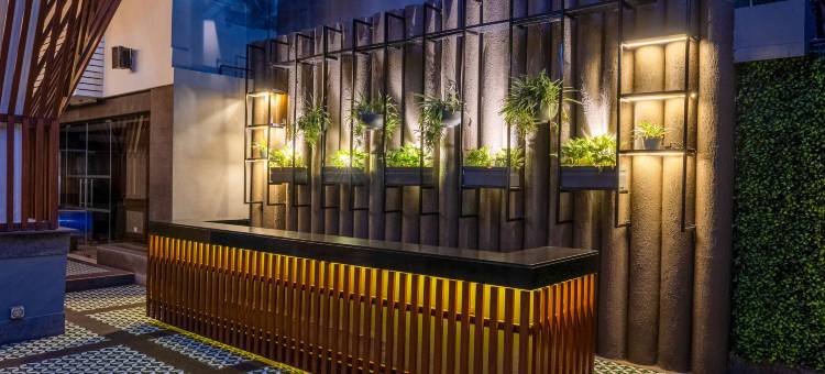 新德里拉吉帕特纳加尔丽柏酒店(Park Inn by Radisson New Delhi Lajpat Nagar)图片