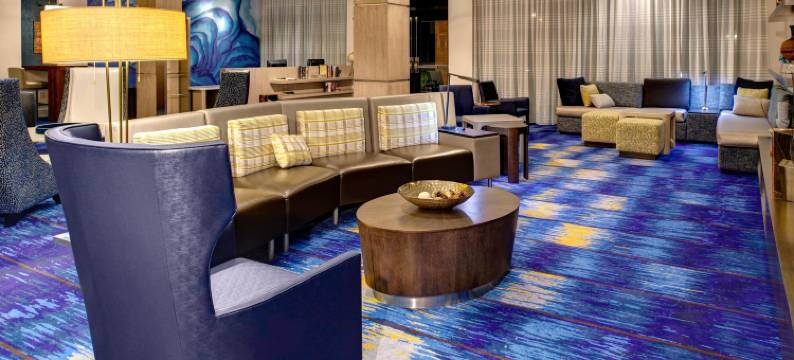 卡罗尔顿万豪万怡酒店(Courtyard Carrollton)图片