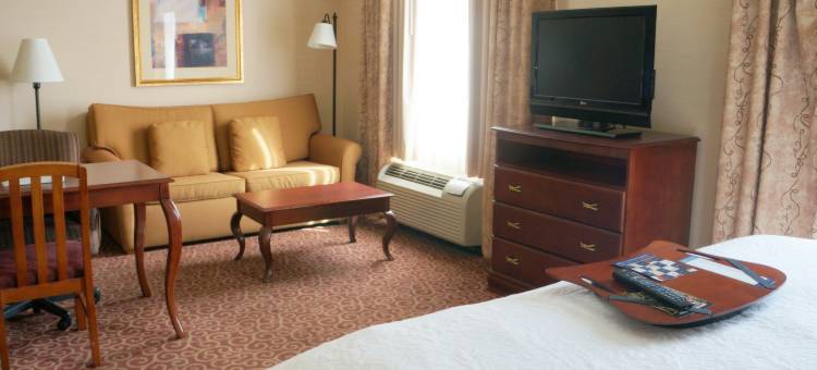 金曼欢朋酒店及套房(Hampton Inn & Suites Kingman)图片