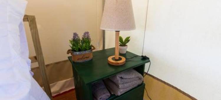 Cozy Nights Glamping by Sam Houston National Park图片