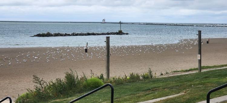 Lakeview Beach BungalowLighthouse/3 Beds/Game Room/PetsEntry Ramp available图片