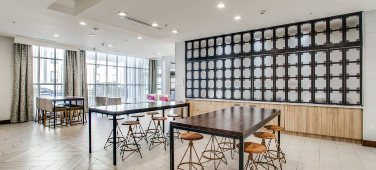 希尔顿花园酒店 北达拉斯中央高速公路(Hilton Garden Inn North Dallas Central Expy)图片