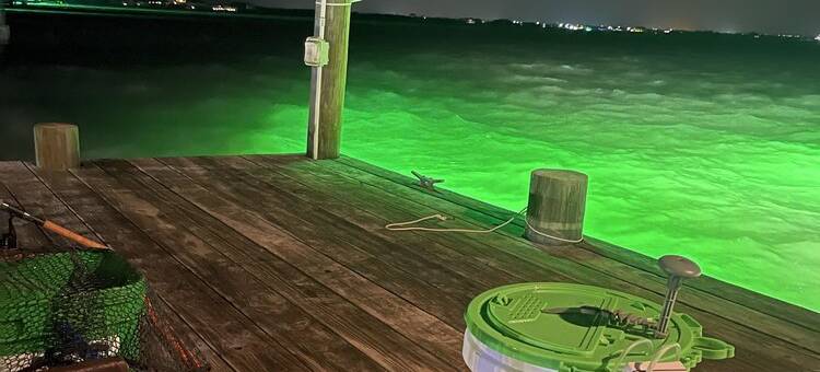 三层定制滨水民宿 • 私人码头 • 皮划艇 • 按摩浴缸 • 垂钓(3 Story Custom Waterfront Home • Private Dock • Kayaks • 2 Masters • Fishing)图片