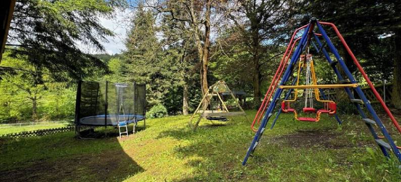 Recreation in the forest - with swimming pool!图片