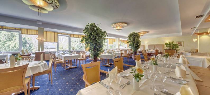 斯腾斯伽藤贝斯特韦斯特优质酒店(Best Western Plus Hotel Steinsgarten)图片