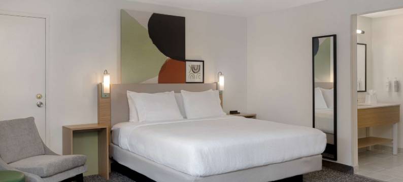 萨凡纳中城希尔顿spark酒店(Spark by Hilton Savannah Midtown)图片