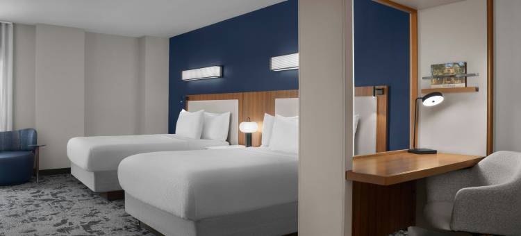 萨凡纳市中心/历史街区万豪SpringHill酒店(SpringHill Suites Savannah Downtown/Historic District)图片