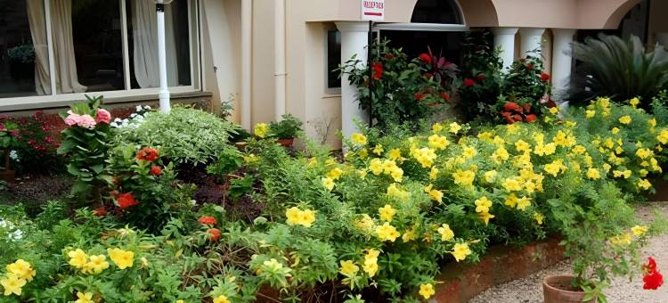 海壳度假村(Sea Shell Resort)图片