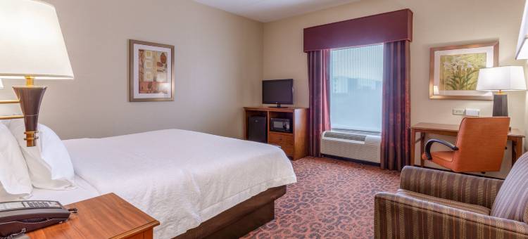 奥因斯米尔斯欢朋旅馆(Hampton Inn Baltimore/Owings Mills)图片