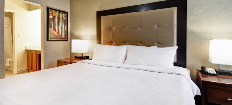Homewood Suites by Hilton-亚特兰大广场/坎伯兰(Homewood Suites by Hilton Atlanta - Galleria/Cumberland)图片