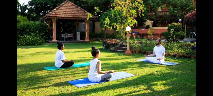 阿育吠陀生命之泉酒店(Ayurveda Spring of Life)图片