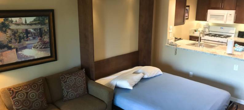 绿洲度假酒店(The Oasis Resort)图片