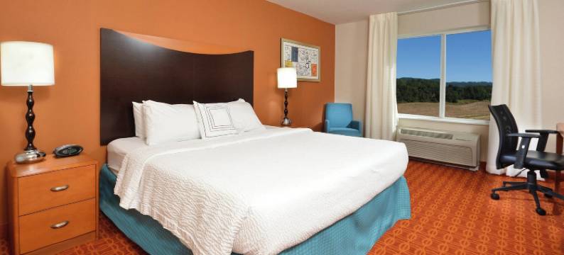 维斯维尔万豪万枫酒店(Fairfield Inn & Suites by Marriott  Albany)图片