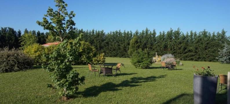 阿尔忒弥斯酒店&Spa Bistro Coquet(Artémis Hôtel & Spa Bistro Coquet)图片