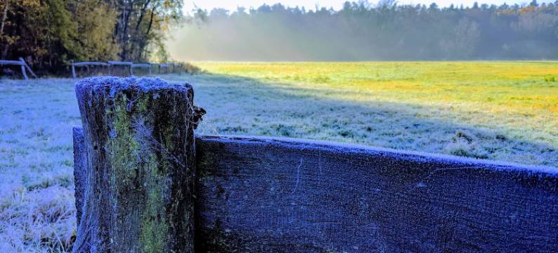历史大楼公寓酒店(Apartment in Historischem Gebäude)图片