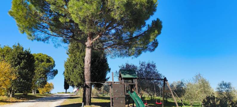 特拉安缇卡农庄旅馆(Terra Antica - Resort, Winery & Spa)图片