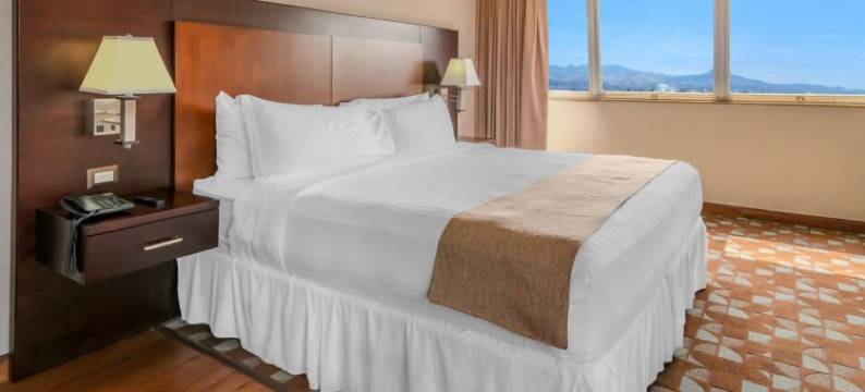 圣马丁广场酒店(Hotel Plaza San Martin)图片