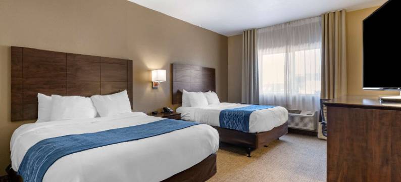 滑铁卢-雪松瀑布舒适套房酒店(Comfort Inn & Suites Waterloo - Cedar Falls)图片