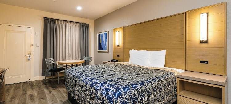 蓝宫酒店东IAH(Palace Inn Blue IAH East)图片