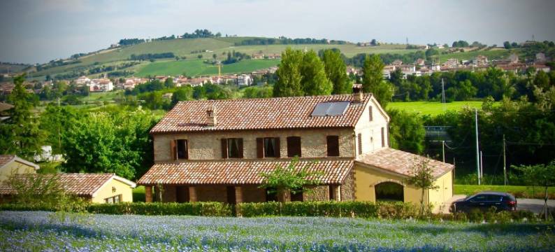 拉维奇亚丰堤农庄酒店(Agriturismo la Vecchia Fonte)图片
