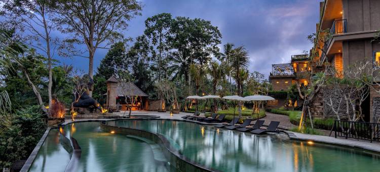 星野丛林度假村(Hoshi Jungle Resort)图片