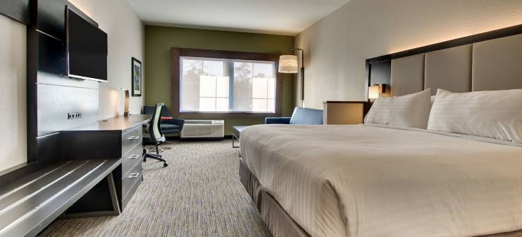 智选假日套房酒店芒特普林森(Holiday Inn Express & Suites Charleston NE MT Pleasant US17)图片